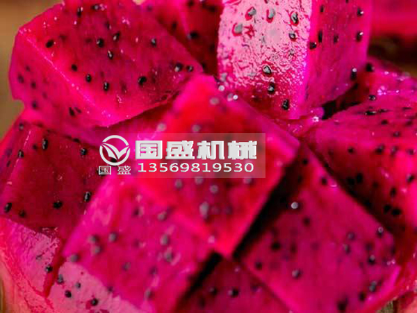 抖阴免费看污视频火龙果挤压脱水设备